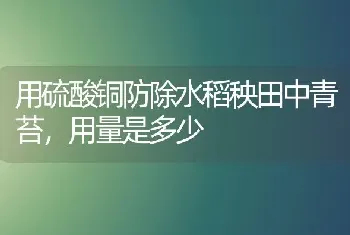 用硫酸铜防除水稻秧田中青苔,用量是多少