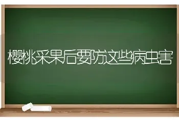 樱桃采果后要防这些病虫害