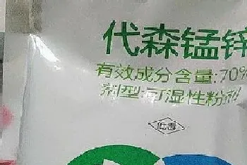 代森锰锌可以浇兰花吗?