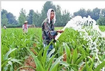 种植玉米遇到干旱情况要如何浇水?这五种浇水方式可供选择