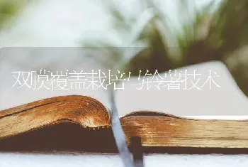 双膜覆盖栽培马铃薯技术