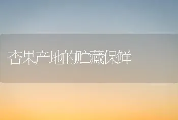 杏果产地的贮藏保鲜