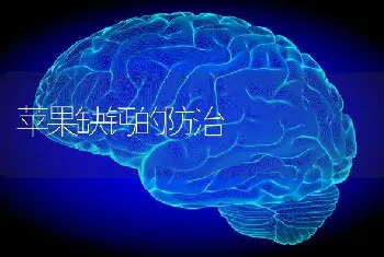 苹果缺钙的防治