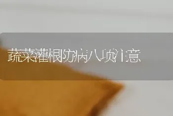 西瓜嫁接栽培病害少 产量高