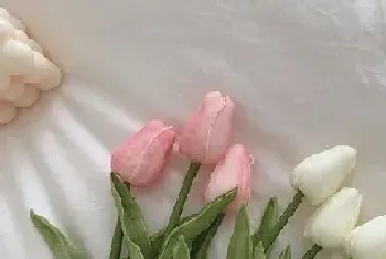 什么花的花语是守护?