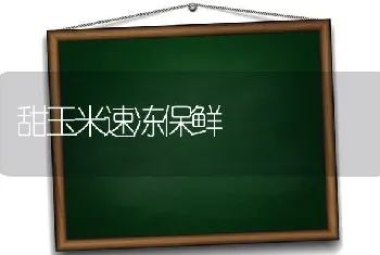 甜玉米速冻保鲜