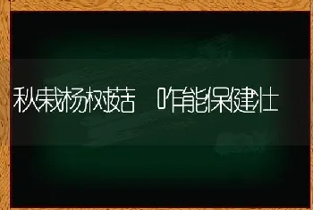 秋栽杨树菇 咋能保健壮