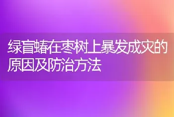 绿盲蝽在枣树上暴发成灾的原因及防治方法