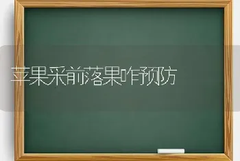 苹果采前落果咋预防