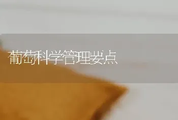 葡萄科学管理要点