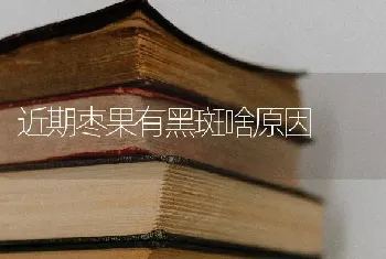 近期枣果有黑斑啥原因