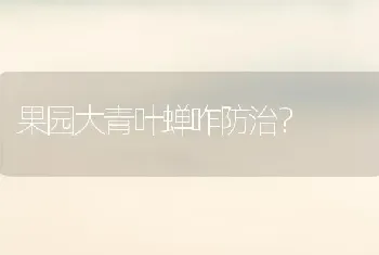 果园大青叶蝉咋防治?