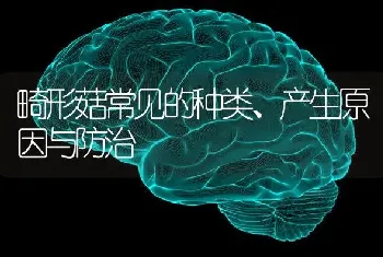 畸形菇常见的种类、产生原因与防治