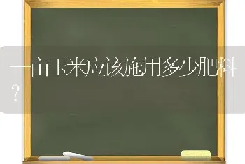 一亩玉米应该施用多少肥料?