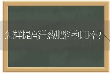 怎样提高洋葱肥料利用率?