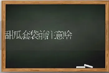 甜瓜套袋前注意啥