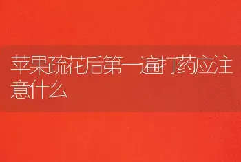 苹果疏花后第一遍打药应注意什么