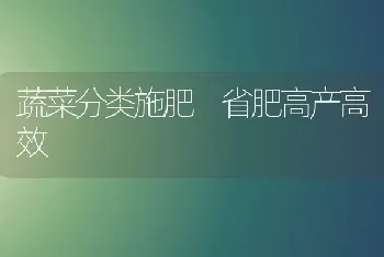 蔬菜分类施肥 省肥高产高效