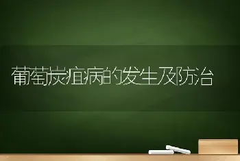 葡萄炭疽病的发生及防治