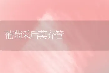 葡萄采后莫弃管