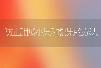 防止甜瓜小果和裂果的办法