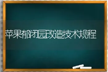 苹果郁闭园改造技术规程