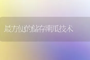 最方便的储存南瓜技术