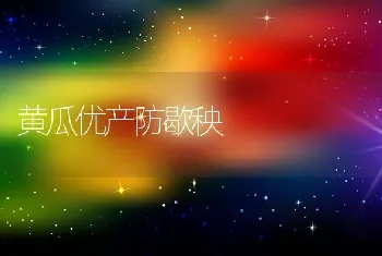 黄瓜优产防歇秧