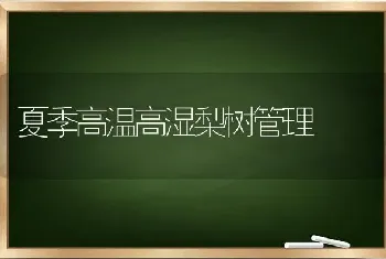 夏季高温高湿梨树管理