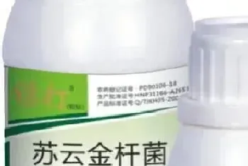 荔枝喷什么农药杀虫,一般喷荔枝虫长效药用什么最好?