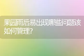 果园雨后易出现哪些问题该如何管理?