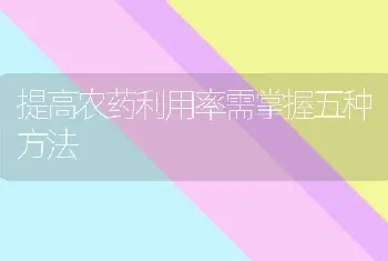 提高农药利用率需掌握五种方法