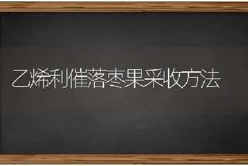 乙烯利催落枣果采收方法