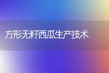 方形无籽西瓜生产技术