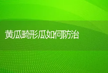 黄瓜畸形瓜如何防治