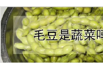 毛豆是蔬菜吗