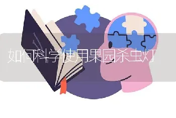 如何科学使用果园杀虫灯