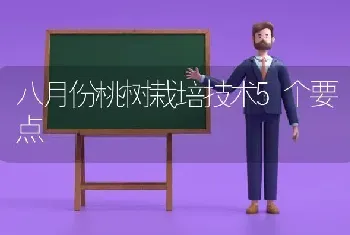 八月份桃树栽培技术5个要点