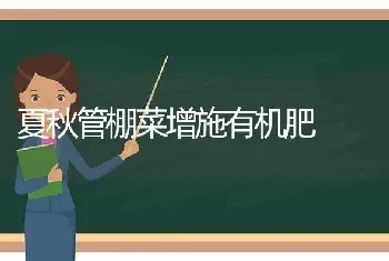 水稻薄露灌溉的特点