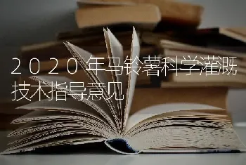 2020年马铃薯科学灌溉技术指导意见