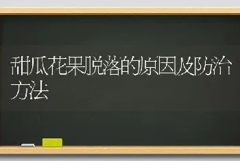 甜瓜花果脱落的原因及防治方法