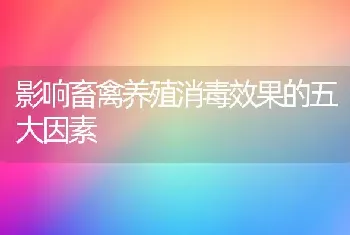 影响畜禽养殖消毒效果的五大因素