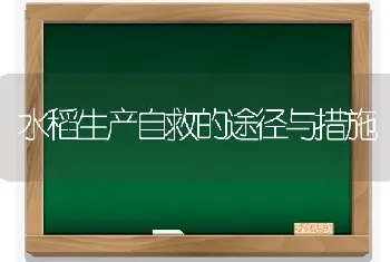 水稻生产自救的途径与措施