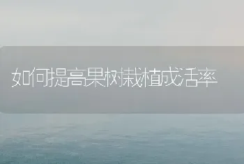 如何提高果树栽植成活率