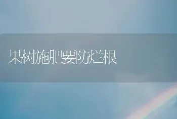 果树施肥要防烂根