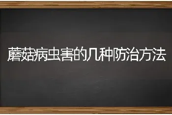 蘑菇病虫害的几种防治方法