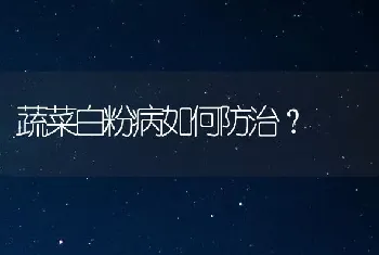 蔬菜白粉病如何防治?