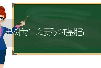 果树为什么要秋施基肥?