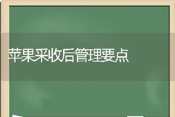 苹果采收后管理要点