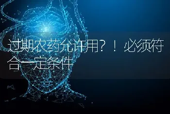 过期农药允许用?！必须符合一定条件